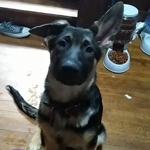 Meet your Posher, Jordan